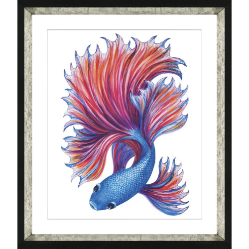 Κορνίζα "Fancy Fish" 