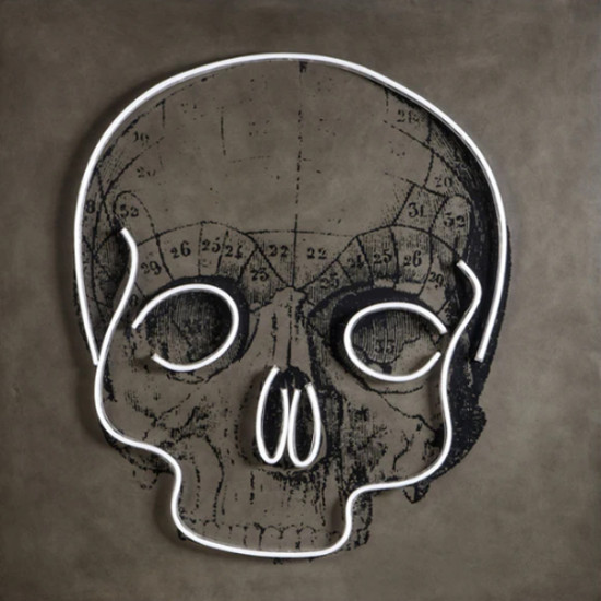 Πίνακας NEON SKULL USA