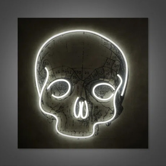 Πίνακας NEON SKULL USA